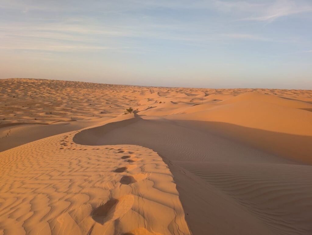 Desert 5 1024x771