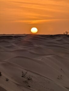 Desert 6 226x300