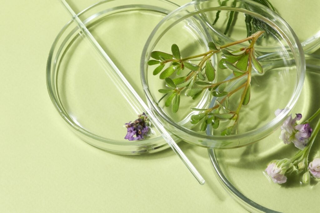 article la phytothérapie comme médiatrice de notre relation avec l’instant présent
